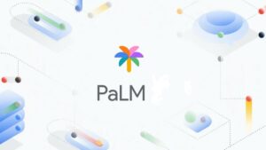 palm-3-de-google